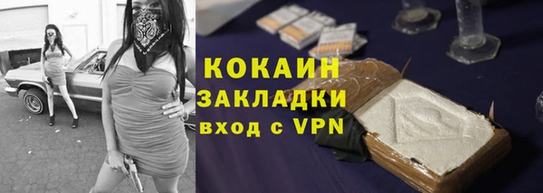 гидра Верхний Тагил